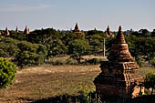 Bagan Myanmar. Cluster of red brick temples near Min myaw yaza  